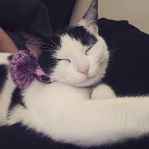 Meet your Posher, Monique